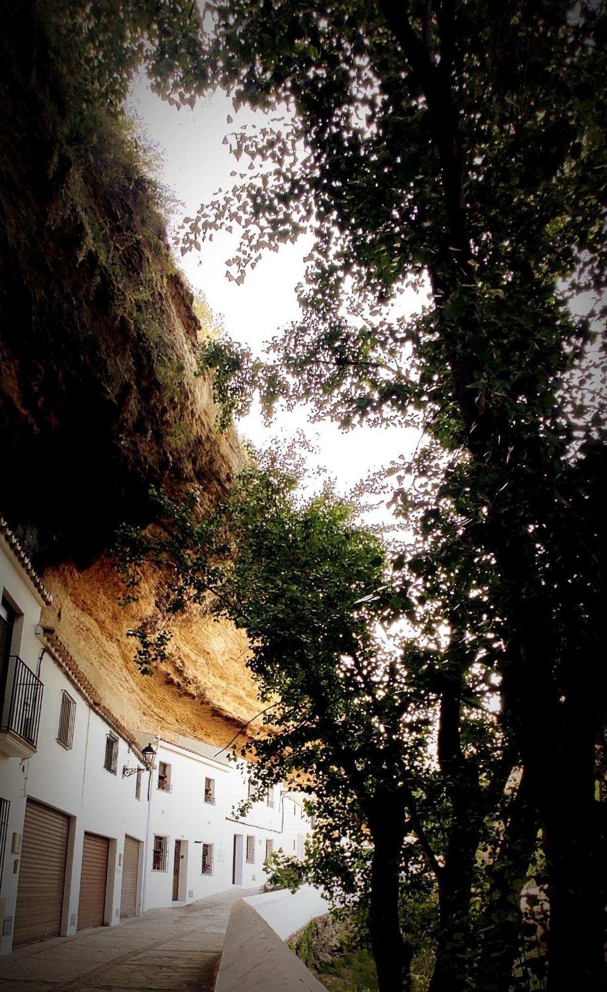 Casa Cueva Las Chicas Del Puente Setenil De Las Bodegas Bagian luar foto