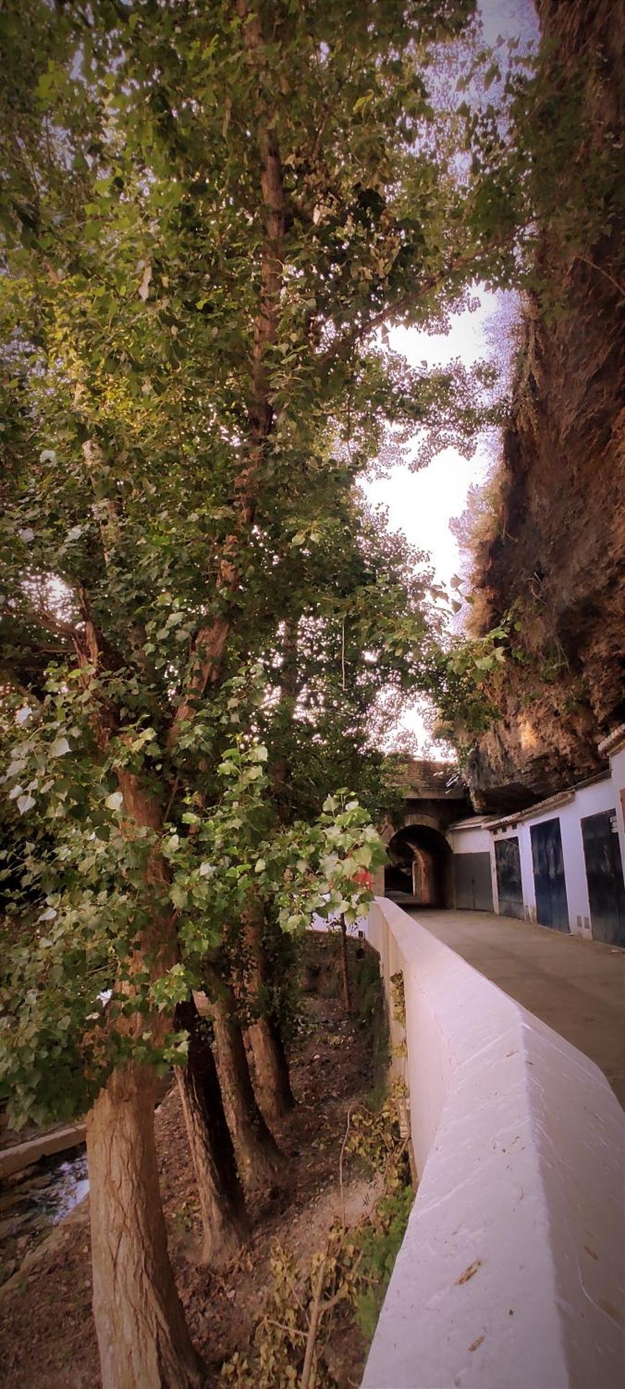 Casa Cueva Las Chicas Del Puente Setenil De Las Bodegas Bagian luar foto